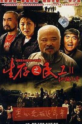 国产在观看,展现民族魅力与文化自信的窗口