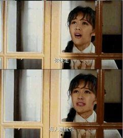 国产对白视频,展现中国故事魅力